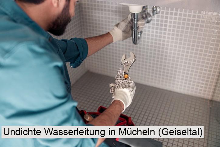 Undichte Wasserleitung in Mücheln (Geiseltal)